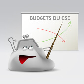 Budgets CSE