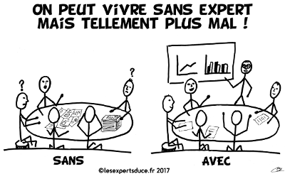 sans ou avec un expert du CE